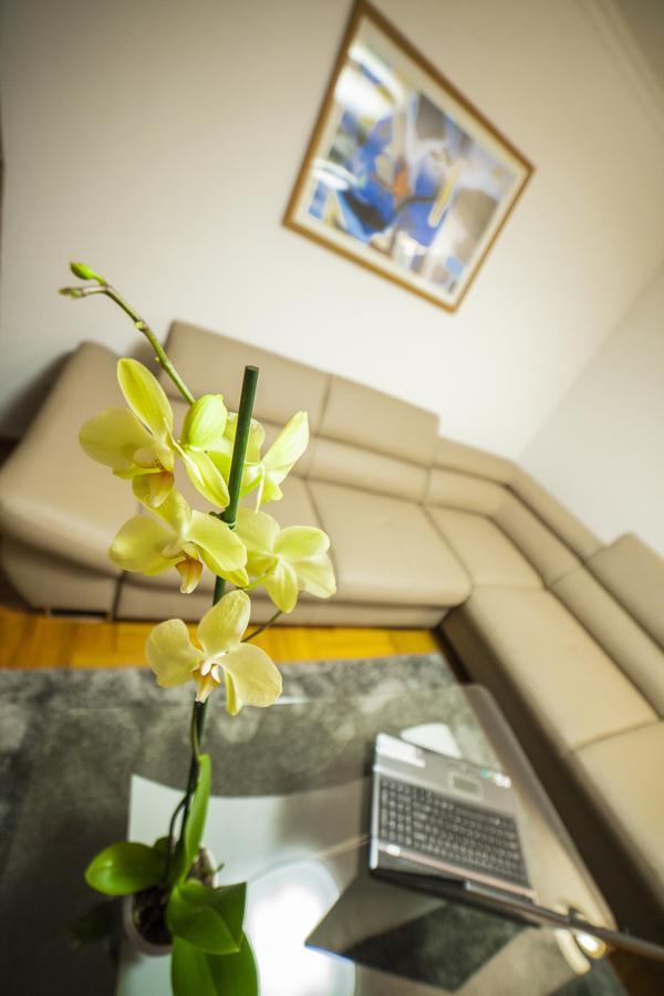 Business Class Apartment Cluj-Napoca Eksteriør billede