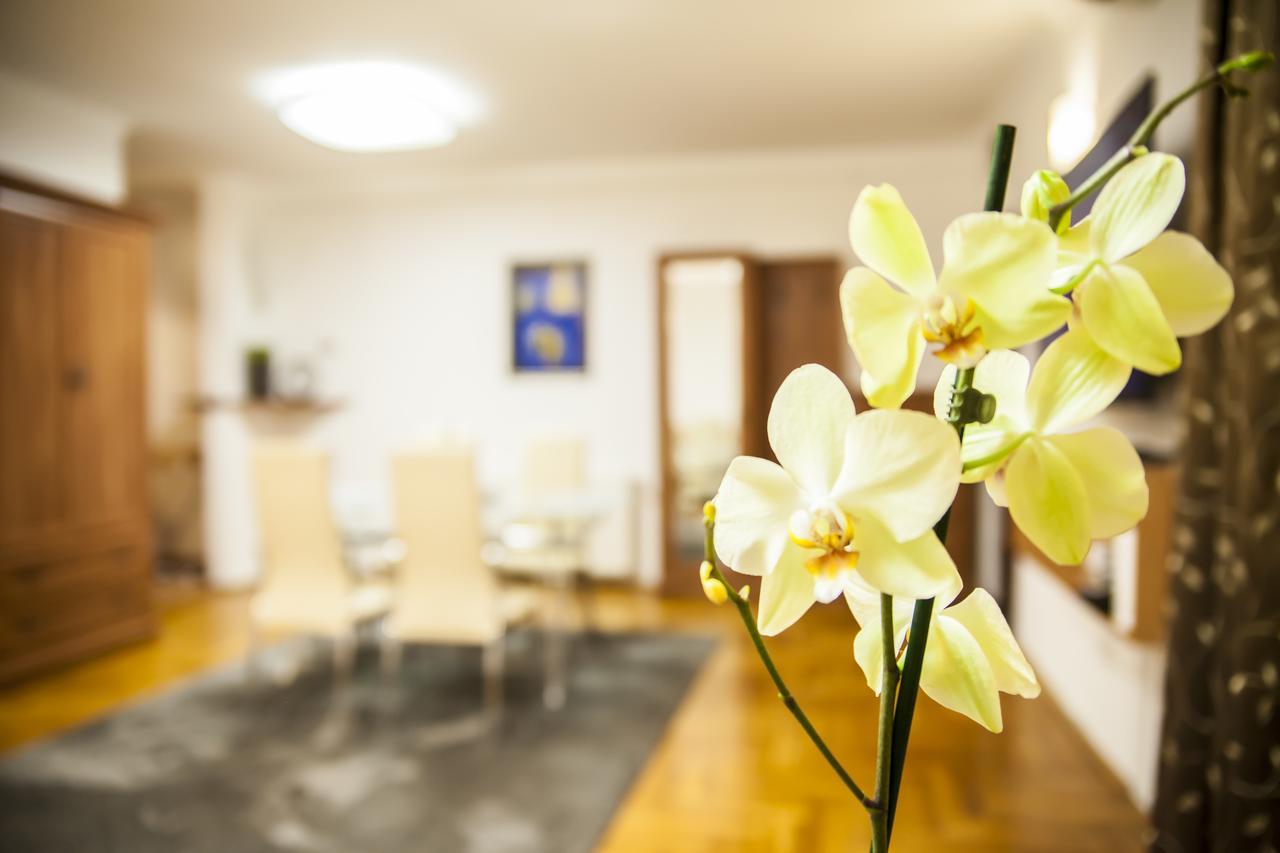 Business Class Apartment Cluj-Napoca Eksteriør billede